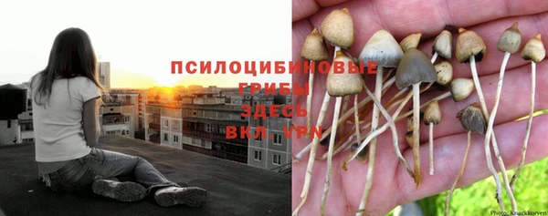 COCAINE Аркадак
