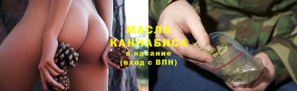крисы Сатка