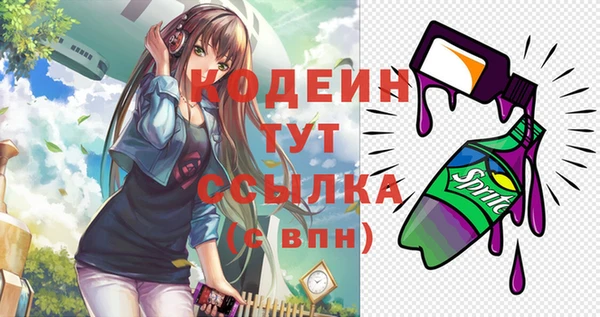 прущий лед Арсеньев